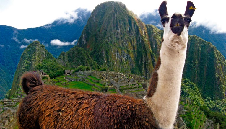 Mpei-peru-multisport-1